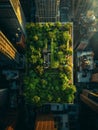 Aerial view on a city with tall buildings with green spaces on roofs. Urban concrete jungle, highlighting environmental