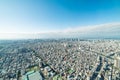 Aerial view of the cityscape of Tokyo, Japan on a clear sunny morning