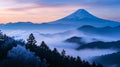 aerial view of clods and fog over mountains hills. magic time. beautiful nature Royalty Free Stock Photo