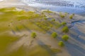 Coastline natural shape texture when low tide