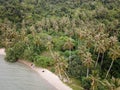 Aerial view coconut palm plantation