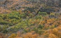 Black river national forest from Copper peak in Michigan upper peninsula Royalty Free Stock Photo