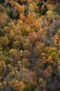 Aerial view of colorful autumn trees from Copper peak in Michigan upper peninsula Royalty Free Stock Photo