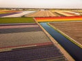 Aerial view of the colorful tflowers fields at spring in Lisse Royalty Free Stock Photo