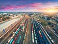 Aerial view of colorful freight trains. Railway station