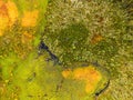 Aerial view of colorful pond in the marshlands