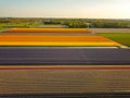 Aerial view of the colorful tflowers fields at spring in Lisse