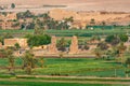 Aerial view of the Colossi of Memnon Amenhotep III, Luxor, Egypt