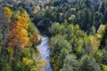 Aerial view of colourful autumn forest and blue water stream Royalty Free Stock Photo