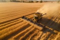 Aerial view of combine harveser in vast wheat field