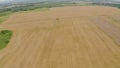 Aerial view of a combine harvester and agricultural machinery harvesting wheat.