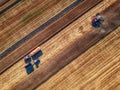 Aerial view of Combine harvester agriculture machine harvesting Royalty Free Stock Photo