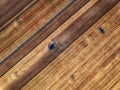 Aerial view of Combine harvester agriculture machine harvesting Royalty Free Stock Photo