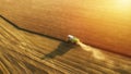 Aerial view Combine Harvester gathers the wheat at sunset. Harvesting grain field, crop season. Royalty Free Stock Photo