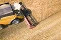 Aerial view of combine harvester harvesting large ripe wheat field. Agriculture from drone view Royalty Free Stock Photo