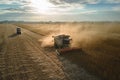 Aerial view of combine harvester working during harvesting season on large ripe wheat field. Agriculture concept Royalty Free Stock Photo