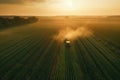 Aerial view of combine harvester working on the large wheat field. Generative AI