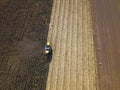 Aerial view of combine harvesting on corn field Royalty Free Stock Photo