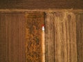 Aerial view of combine harvesting corn field Royalty Free Stock Photo