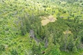 Aerial view of coniferous forest in High Tatras Mountains, slowly recovering after disastrous windstorm several years ago.