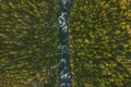 Aerial view coniferous forest and river landscape