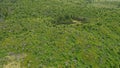 Aerial view of coniferous forest under High Tatras mountains, recovering after disastrous windstorm Royalty Free Stock Photo