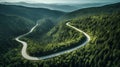 aerial view of a coniferous forest through which a winding road passes in the mountains