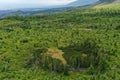 Aerial view of coniferous mountain forest in Vysoke Tatry mountains, Slovakia, recovering after disastrous windstorm slash.