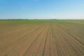 Aerial view of corn field. Young green Corn. Corn Aerial View. Royalty Free Stock Photo