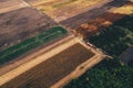 Aerial view, corn harvest scenery