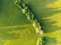 Aerial view of a country line in spring in soft evening light