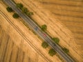 Aerial view of a country road amid fields