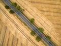 Aerial view of a country road amid fields Royalty Free Stock Photo