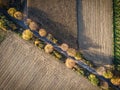 Aerial view of country road, autumn trees and ploughed fields