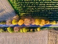 Aerial view of country road, autumn trees and ploughed fields