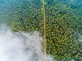 Aerial view of a country road in the forest. Beautiful landscape. Clouds over the green forest and road. Aerial bird`s eye road. Royalty Free Stock Photo