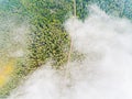 Aerial view of a country road in the forest. Beautiful landscape. Clouds over the green forest and road. Aerial bird`s eye road. Royalty Free Stock Photo