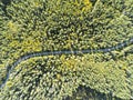 Aerial view of a country road in the forest with moving cars. Landscape. Captured from above with a drone. Aerial bird`s eye road Royalty Free Stock Photo