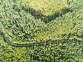 Aerial view of a country road in the forest with moving cars. Landscape. Captured from above with a drone. Aerial bird`s eye road Royalty Free Stock Photo