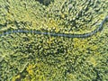 Aerial view of a country road in the forest with moving cars. Landscape. Captured from above with a drone. Aerial bird`s eye road Royalty Free Stock Photo