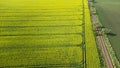 Aerial view of country road and yellow rapeseed field in south of Sweden