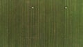 Aerial view of a countryside landscape with fresh green field and dry hay bales during harvest. Shot. Top view of trails Royalty Free Stock Photo