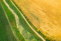 Aerial View Of Countryside Road Through Summer Rural Field. Road Between Corn Maize Plantation And Young Wheat Landscape Royalty Free Stock Photo