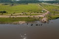 Aerial view of cows herd grazing on pasture field, top view drone pov , in grass field these cows are usually used for Royalty Free Stock Photo