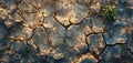 Aerial View of Cracked Desert Surface With Plants. Generative AI Royalty Free Stock Photo