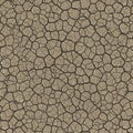Aerial view of cracked earth displaying a pattern of irregular polygons Royalty Free Stock Photo