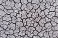 Crackled earth texture of dry lake