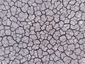 Crackled earth texture of dry lake