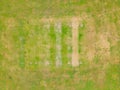 Aerial view of cricket green during drought.