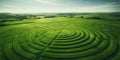 Aerial view of crop circles in a vast green field , concept of Mysterious formations